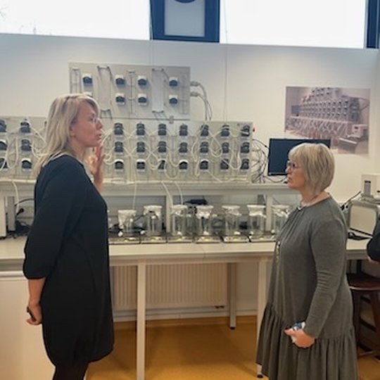 VMVT direktorė KTU laboratorijoje