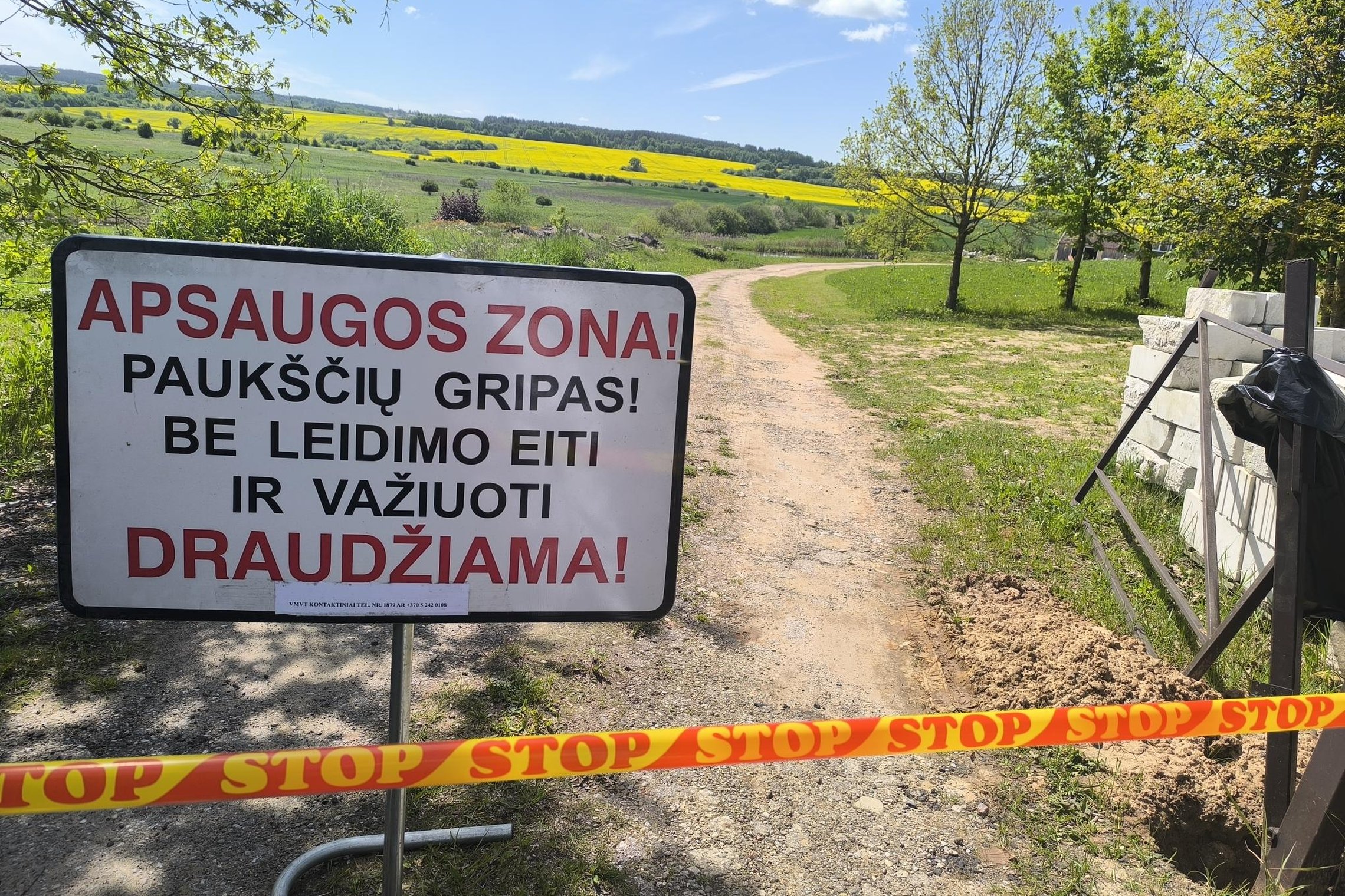 Iliustracija