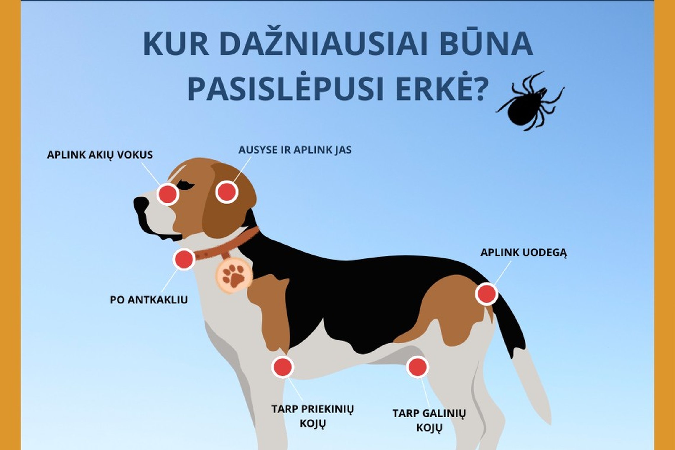 Iliustracija