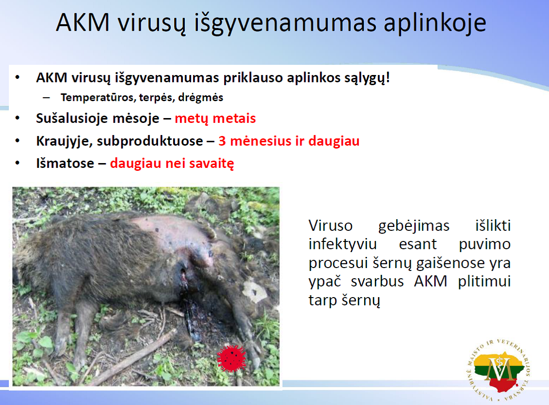 AKM medžiotojams2.png