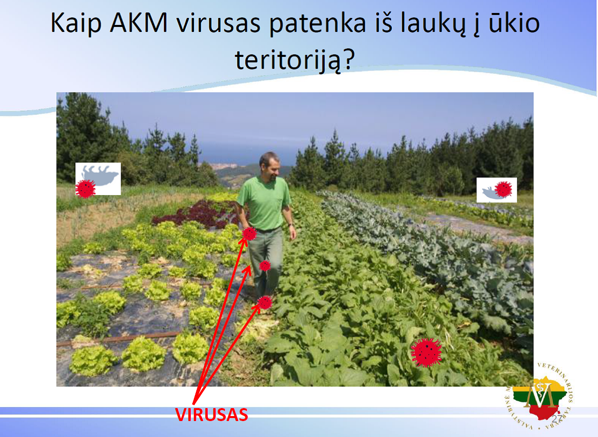AKM ūkininkams3.png
