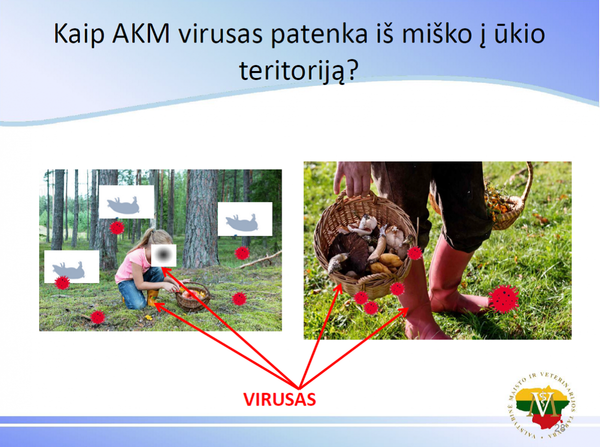 AKM ūkininkams4.png