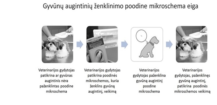 zenklinimo_eiga_0.jpg