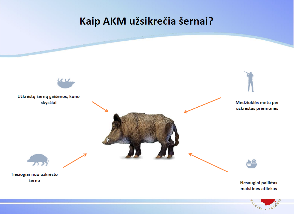 AKM medžiotojams1.png