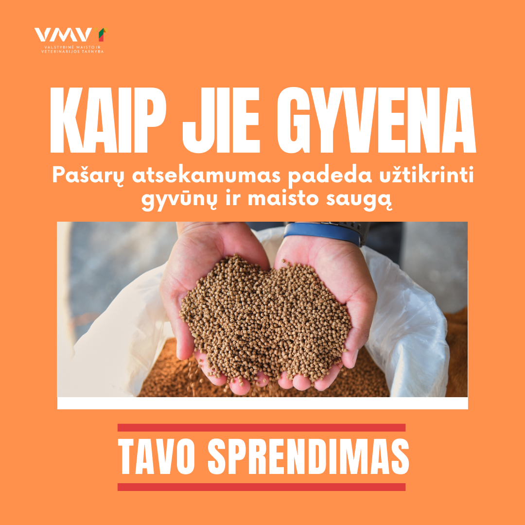 Kaip jie gyvena pasaru atsekamumas.png