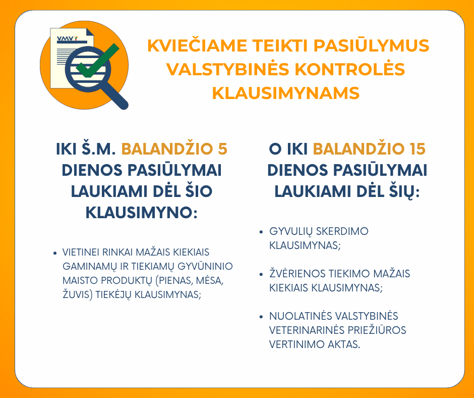 verslasverslo naujokas (5).png