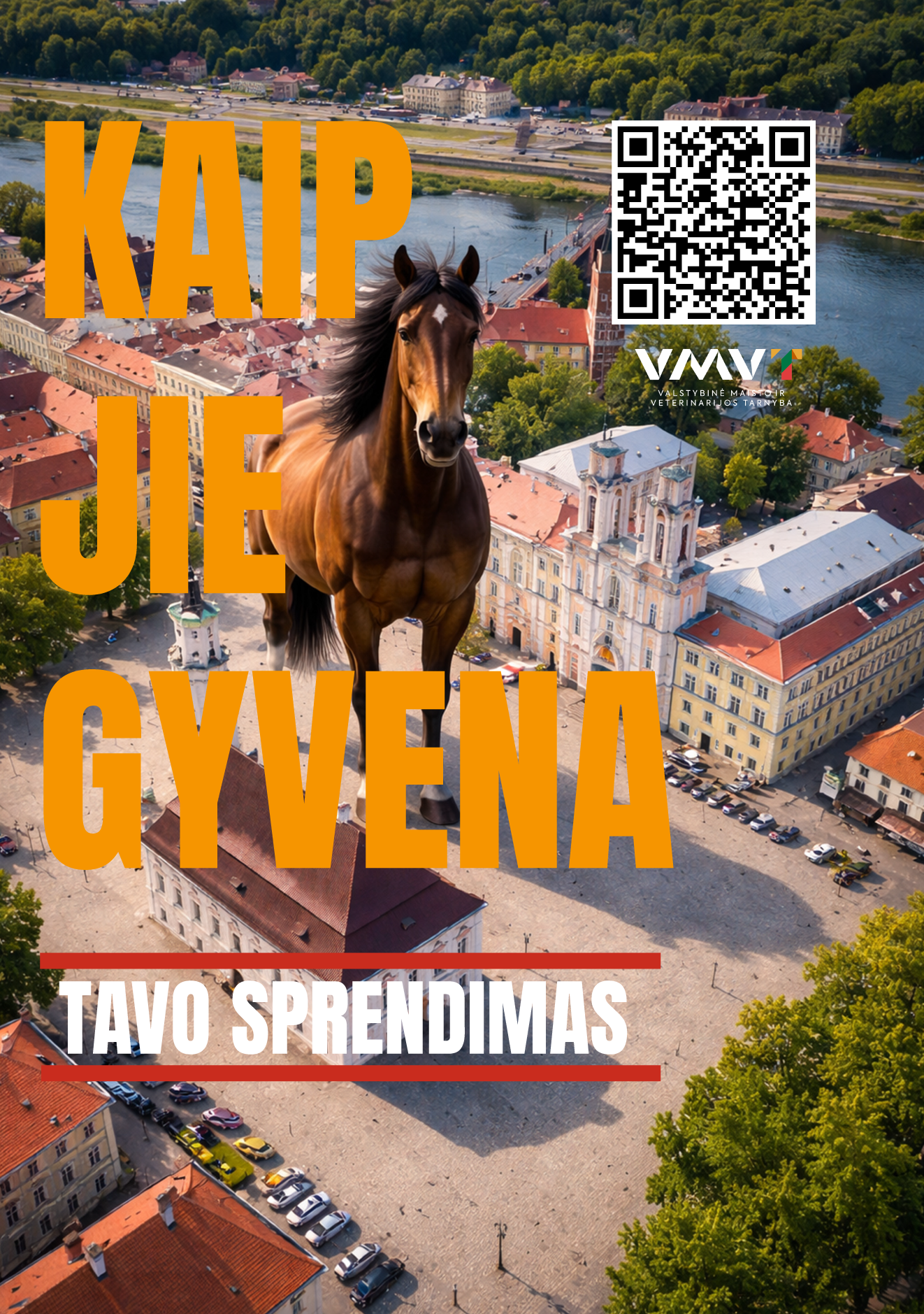 Kaip jie gyvena Zirgas VMVT.png