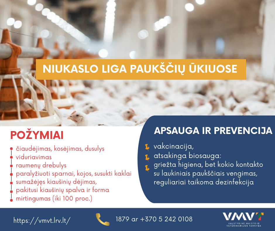 maket 03 12.png