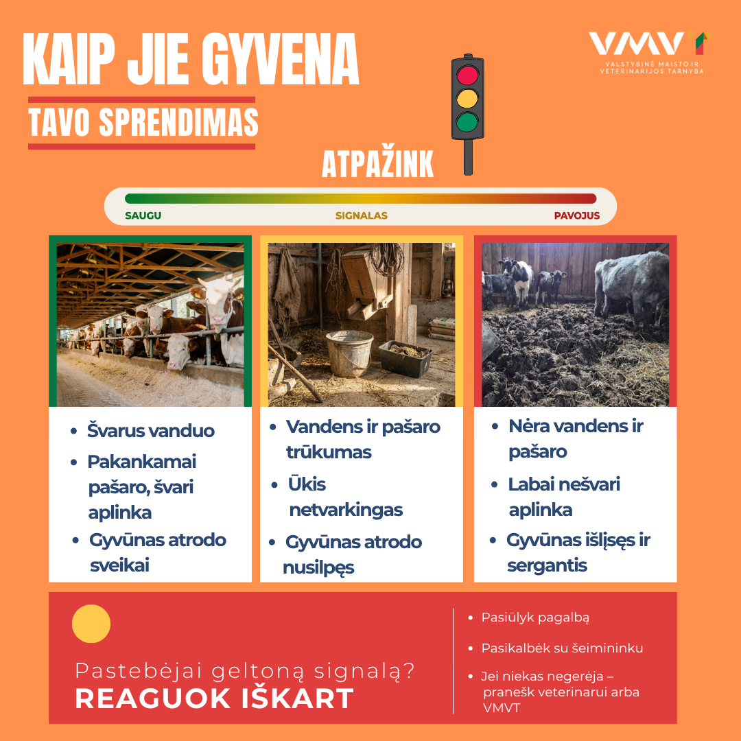 Kaip jie gyvena signalas 1.png
