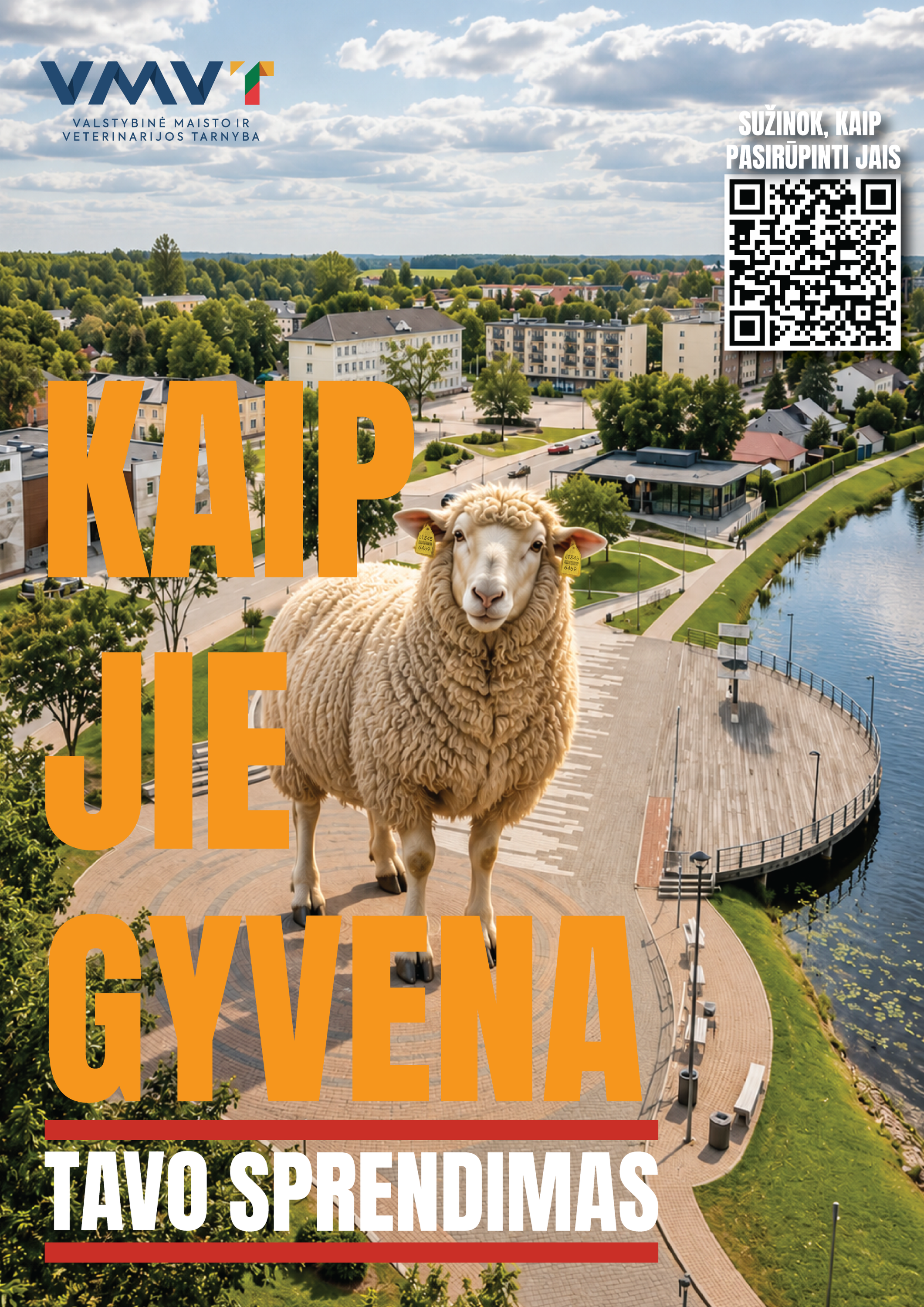 Kaip jie gyvena Tavo sprendimas Avis 2026.png